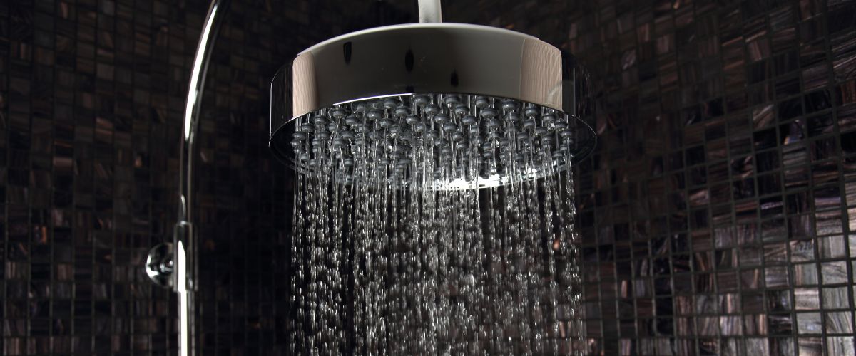 "Vapore caldo dalla doccia, ambiente a rischio di proliferazione della Legionella