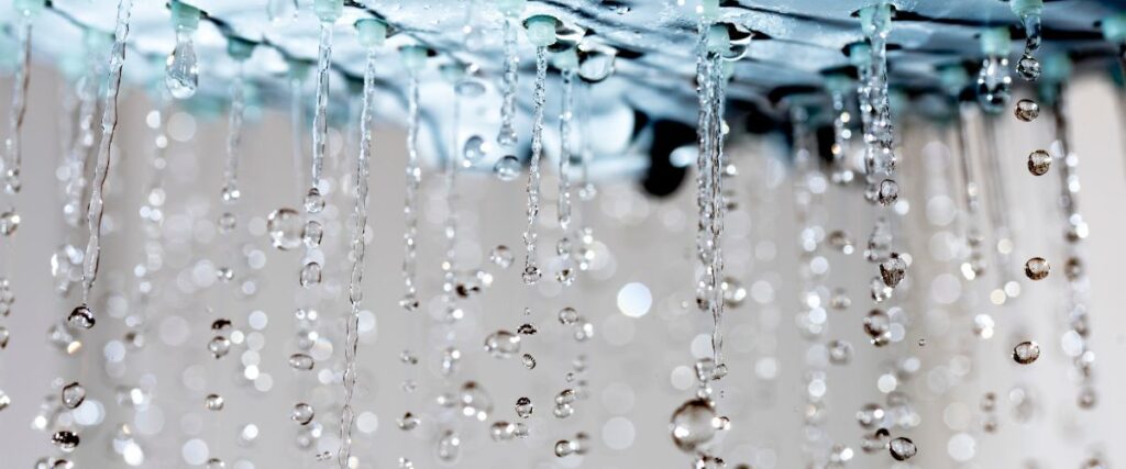 Acqua corrente da rubinetto, possibile veicolo di Legionella in ambito domestico