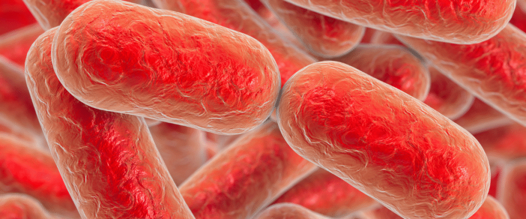 Batterio Legionella al microscopio 3D, guida ai valori UFC/L nel referto