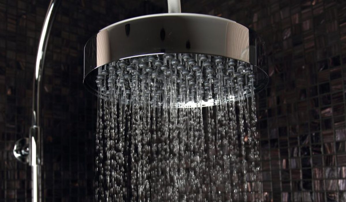 "Vapore caldo dalla doccia, ambiente a rischio di proliferazione della Legionella